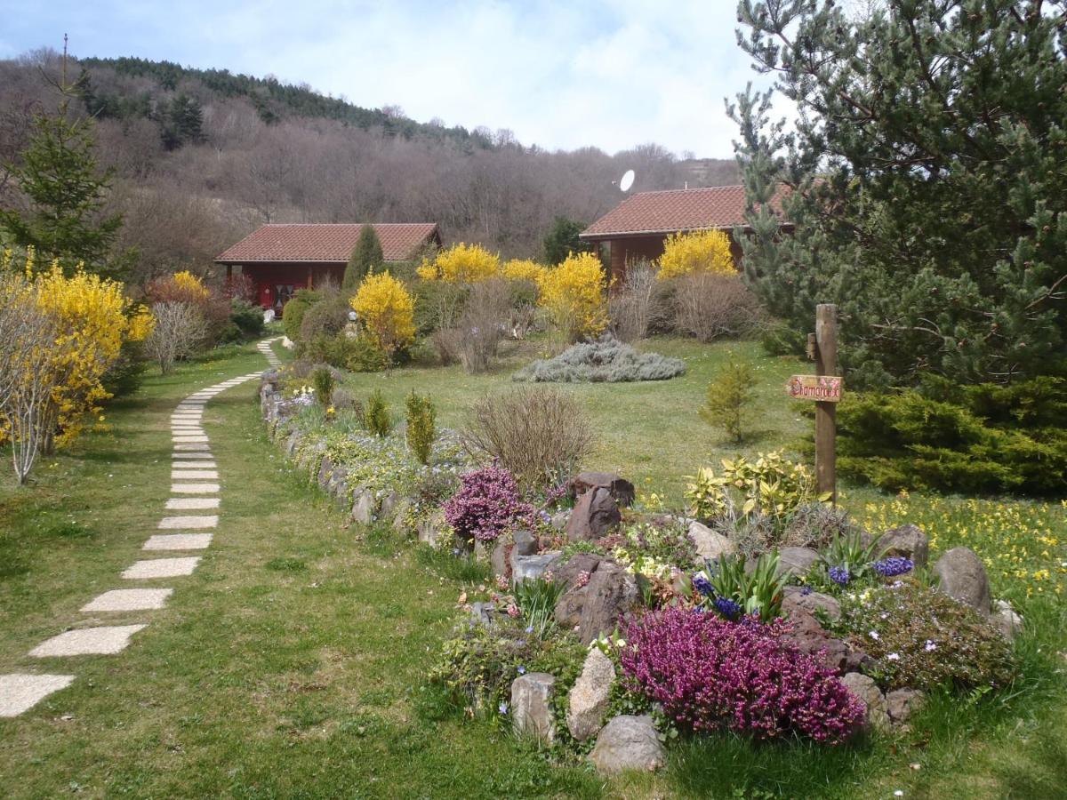 Les Chalets De La Vigne Grande Saint-Floret Extérieur photo